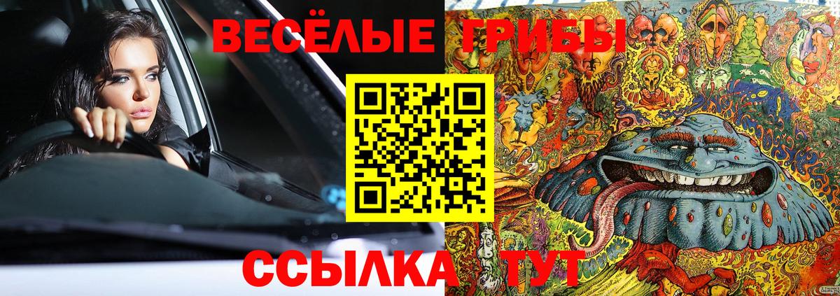 Волгоград  Псилоцибиновые грибы мицелий  Псилоцибиновые грибы мицелий  Вход с VPN 
